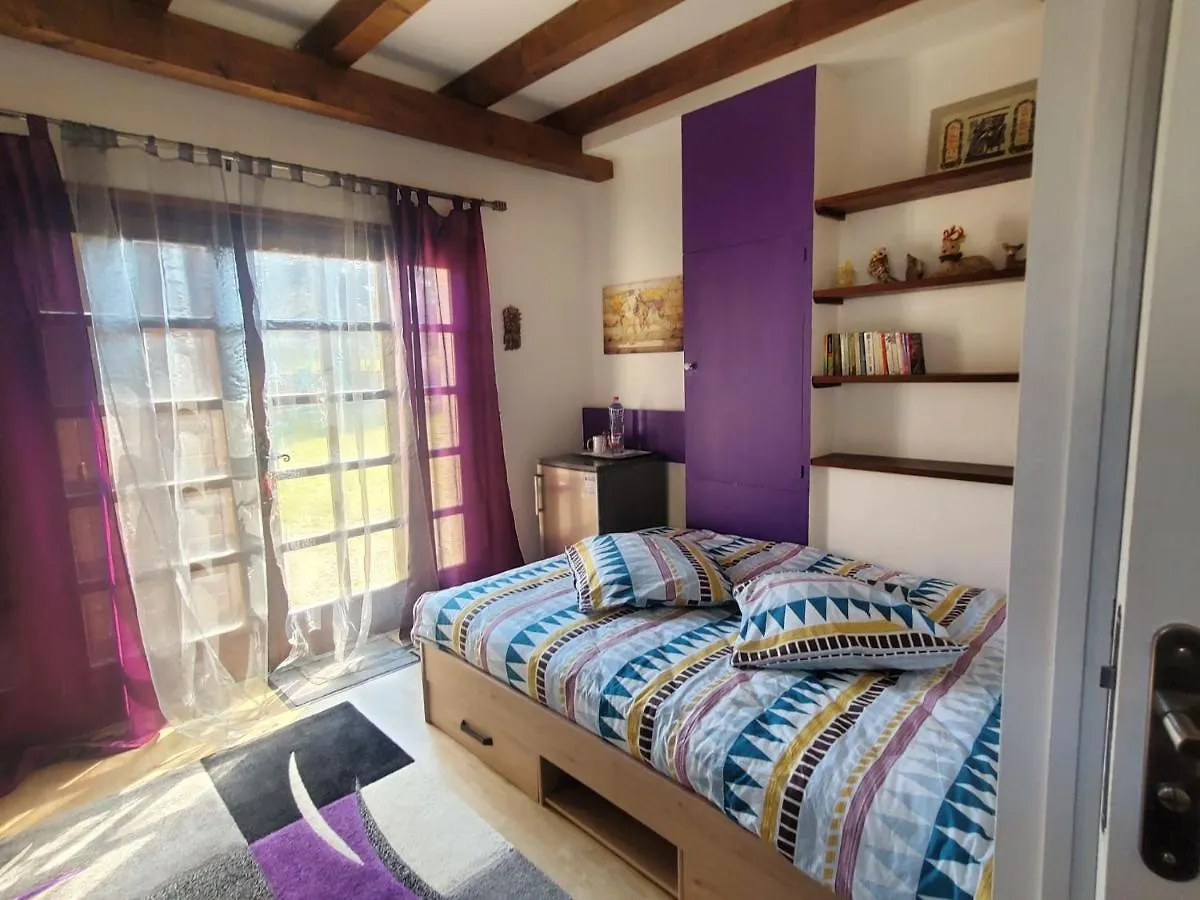 Maison Le Lézard chez Amalia et Fred Thonon-les-Bains