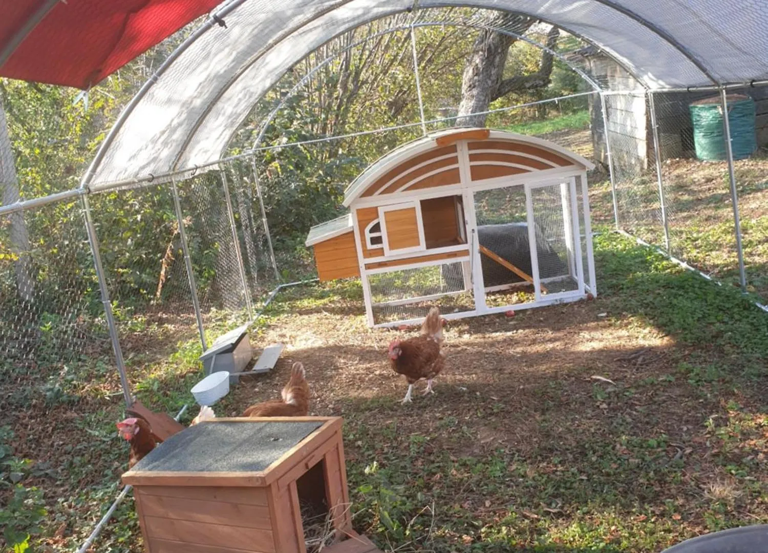 Séjour chez l'habitant Maison Le Lézard chez Amalia et Fred Thonon-les-Bains France