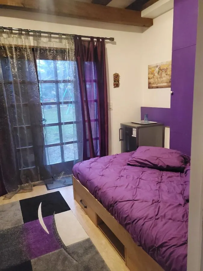 Maison Le Lezard Chez Amalia Et Fred Thonon-les-Bains Pansiyon